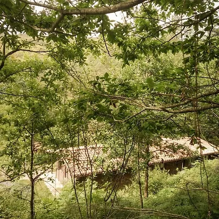 Cabanas En El Bosque - Adults Only * Leintz-Gatzaga