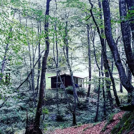 Cabanas En El Bosque - Adults Only Lodge Leintz-Gatzaga