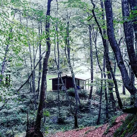 Cabanas En El Bosque - Adults Only Domek letniskowy Leintz-Gatzaga