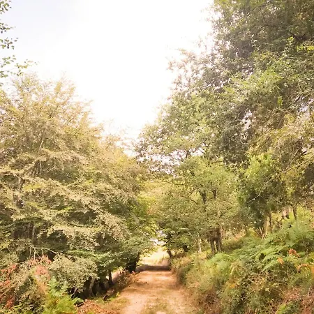Cabanas En El Bosque - Adults Only