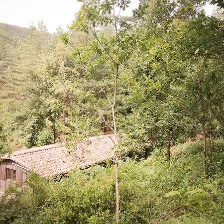 Cabanas En El Bosque - Adults Only Lodge *