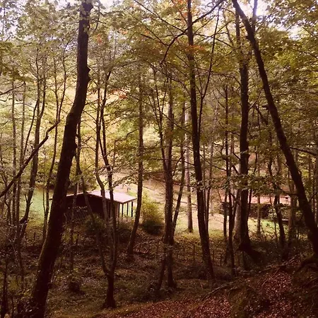 Lodge Cabanas En El Bosque - Adults Only Leintz-Gatzaga