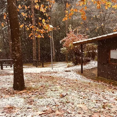 Lodge Cabanas En El Bosque - Adults Only *