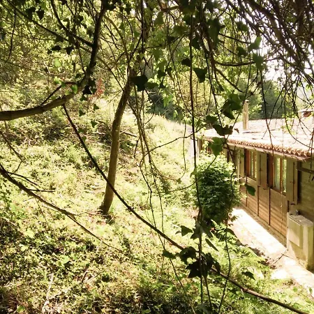 Cabanas En El Bosque - Adults Only Lodge *
