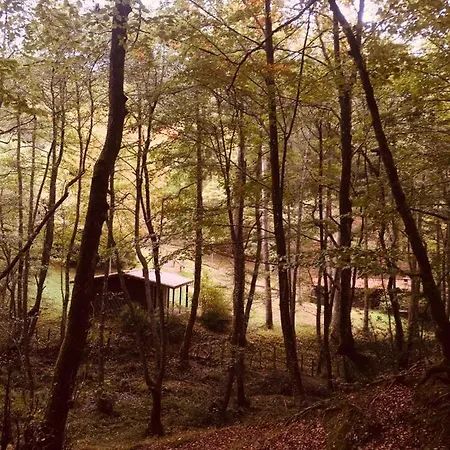 Lodge Cabañas En El Bosque - Adults Only Leintz-Gatzaga (Salinas de Léniz)