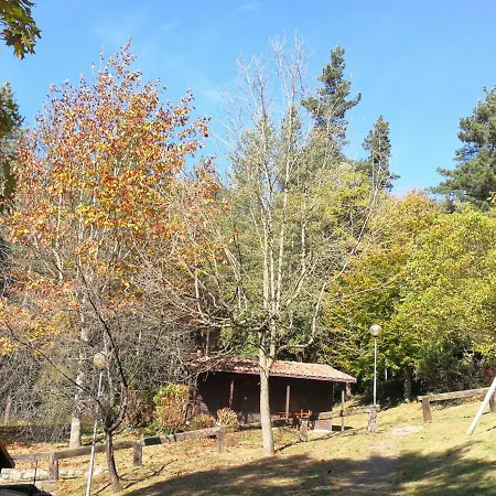 Cabañas En El Bosque - Adults Only Lodge